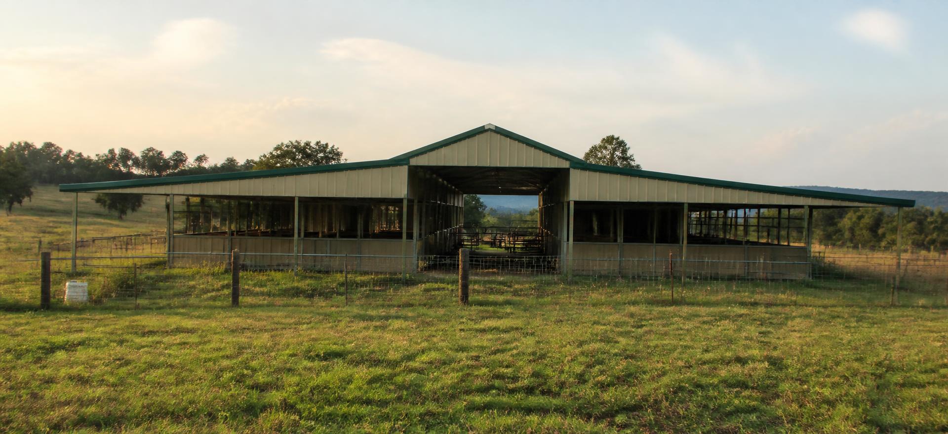 Concept photograph of a tan steel horse barn with a raised centre aisle, green roof and open shed rows facing a fenced pasture; example configuration, not a real project.
